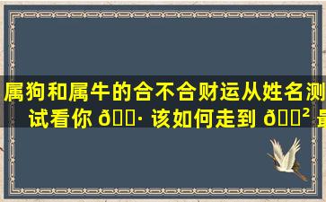 属狗和属牛的合不合财运从姓名测试看你 🌷 该如何走到 🌲 最后
